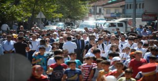 Gürsuda Armut Festivali Coşkusu