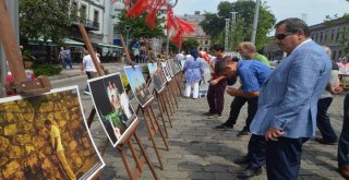 İhanın 15 Temmuzu Anlatan Fotoğrafları Trabzonda İlgiyle İzlendi