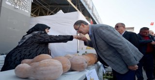 Yöresel Ürünler Sergi Kapılarını Açtı