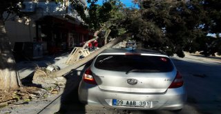 Aydında Fırtına Hayatı Olumsuz Etkiledi