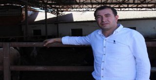 Uzmanından Kurban Yatırma Taktikleri