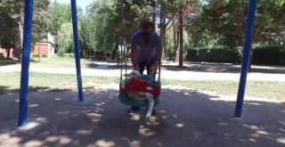 (Özel Haber) Kuzu Değil Sanki Sultan