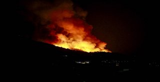 Sisam Adasında Yangın