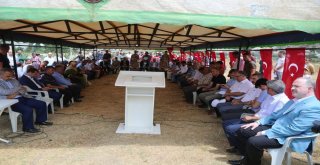 Vanda Şehit Mezarları Ziyaret Edildi