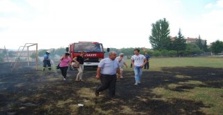 Yılandan Kurtulmak İsterken Okulu Yakacaktı