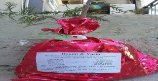 Düğünlerine Fidanlı Davetiye Gönderdiler