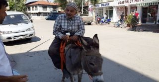 Eşek Üzerinde Dondurma Keyfi Yapan Aşır Dede Meşhur Oldu