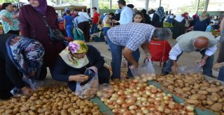 Suşehrinde Gurbetçi Yoğunluğu