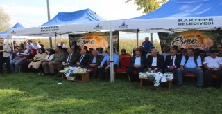 Bu Festivalde En Güzel Ayvalar Yarıştı