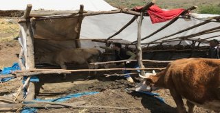 Toçbirsen Arguvan Temsilcisi Mehmet Saydan: