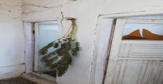 Vanda Uyuşturucu Operasyonu