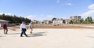 Başkan Asya, Göletli Parkta İncelemelerde Bulundu