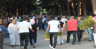 Hatayda Mezarlıklar Doldu Taştı