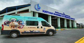 Sıcak Havadan Bunalan  Sokak Hayvanları Buharla Serinletiliyor