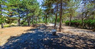 Battalgaziye 900 Dönümlük Yeni Tabiat Parkı Yapılıyor