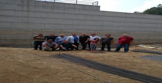 Çerçioğlundan Tarıma Destek