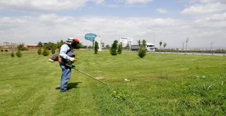 Çimler Biçiliyor, Yabani Otlar Temizleniyor