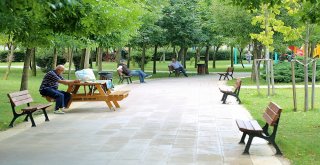Ataşehirde Parklar Hem Çoğalıyor Hem Yenileniyor
