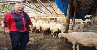 Orman Köylüsüne Destek Artarak Devam Ediyor