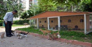 Kihayko Başkanı Metin: Hayvanları Koruma Kanunu Değiştirilmeli