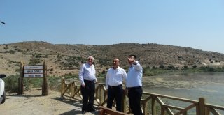 Bafa Gölü Tabiat Parkı Ziyaretçilerini Büyülüyor