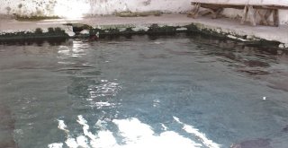(Özel) Osmanlı Mirası Tarihi Hamam Kaderine Terk Edildi