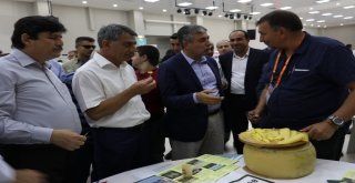 Doğu Anadolunun Birbirinden Lezzetli Peynirleri Bitliste Buluştu