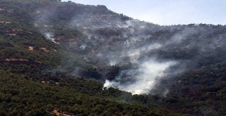 Beytüşşebapta Orman Yangını