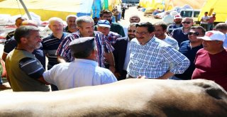 Ovacık Kurban Satış Alanı Hizmete Hazır