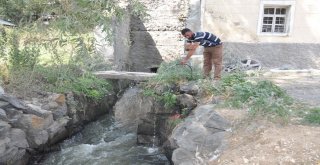 Karsta Ruslardan Kalan Değirmen 100 Yıldır Çalışıyor