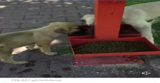 Kocasinan Belediyesi Sosyal Medyanın Gündeminden Düşmüyor