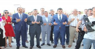 Rizede Mobilya Mağazası Açılışı