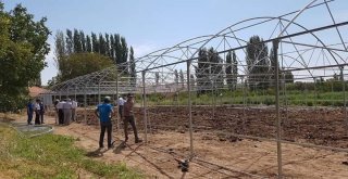 Kaman İlçesinde Örtü Altı Sebze Yetiştiriciliği