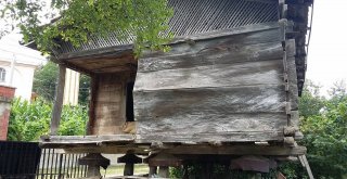 Serenderler Artık Kullanılmıyor