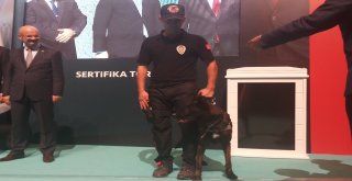 Emniyet Genel Müdürü Uzunkaya: 2018De Şuana Kadar 36 Ton 636 Kilo Uyuşturucu Madde Ele Geçirildi