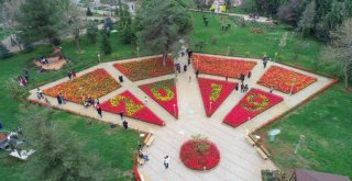 Gaziantep, Rengârenk Çiçeklerle Bezendi