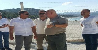 Vali Şıldak, Salda Da İncelemelerde Bulundu