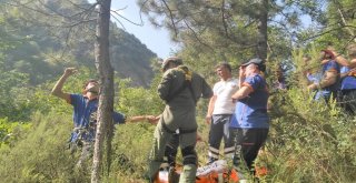 Uludağda Yaşanan Can Pazarı Kameralara Böyle Yansıdı