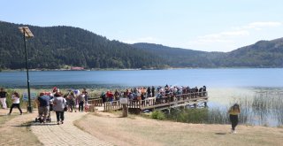 Tatilciler, Abant Tabiat Parkında 5 Kilometrelik Araç Kuyruğu Oluşturdu