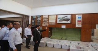 Arkeoloji Müzesindeki Eserler Troya Müzesine Taşınmaya Hazır