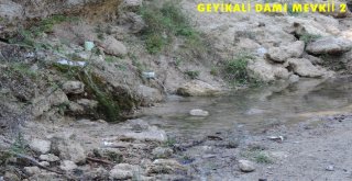Orman Bölge Müdürlüğünden Zeytin Yaylası Açıklaması