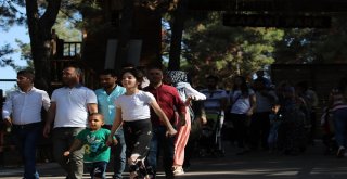 (Özel Haber) Gaziantep Hayvanat Bahçesi Rekorları Alt Üst Ediyor