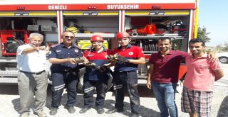 Boruya Sıkışan 4 Kaplumbağayı İtfaiye Kurtardı