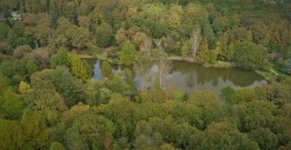 (Özel) Sonbaharın Renklerine Bürünen Atatürk Arboretumu Havadan Görüntülendi