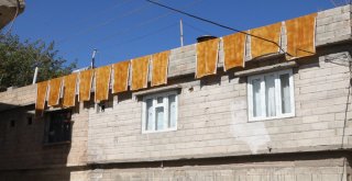Bağ Bozumu İle Şiracılarin Zorlu Mesaisi Başladı