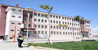 Selçukluda Okul Bahçeleri Temizlendi
