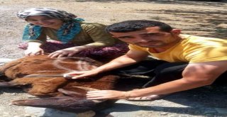 Şehidin Kardeşi De Ağabeyi Gibi Uzman Çavuş Olacak