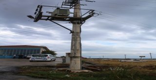 Trafo Direğinin Altından Geçen Koyunlar Elektrik Akımına Kapılarak Telef Oldu
