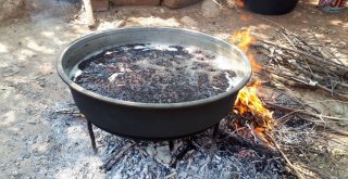 Üzüm Pekmezi Yapımı Başladı