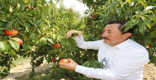 Vali Balkanlıoğlundan Geyve Çıkarması